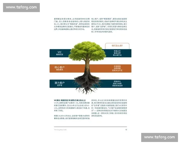 持续关注与深度参与：提升品牌忠诚度与用户粘性的新策略分析