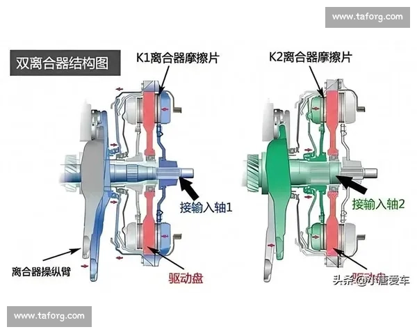干扰球判定规则解析及比赛中常见争议处理策略